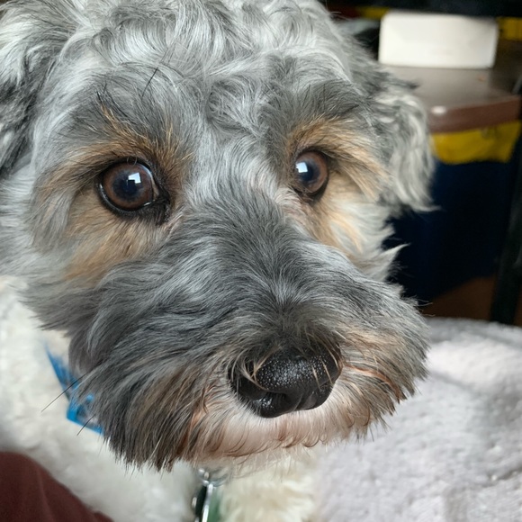 Meet Your Posher, Melody. - Picture 4 of 7